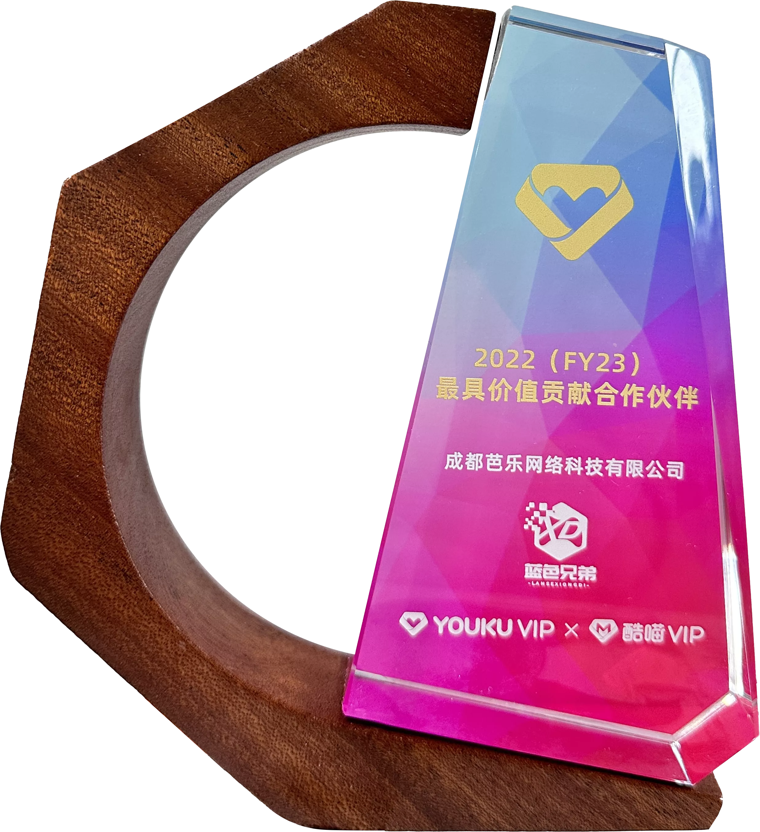 2022年度优酷VIP最具价值贡献合作伙伴