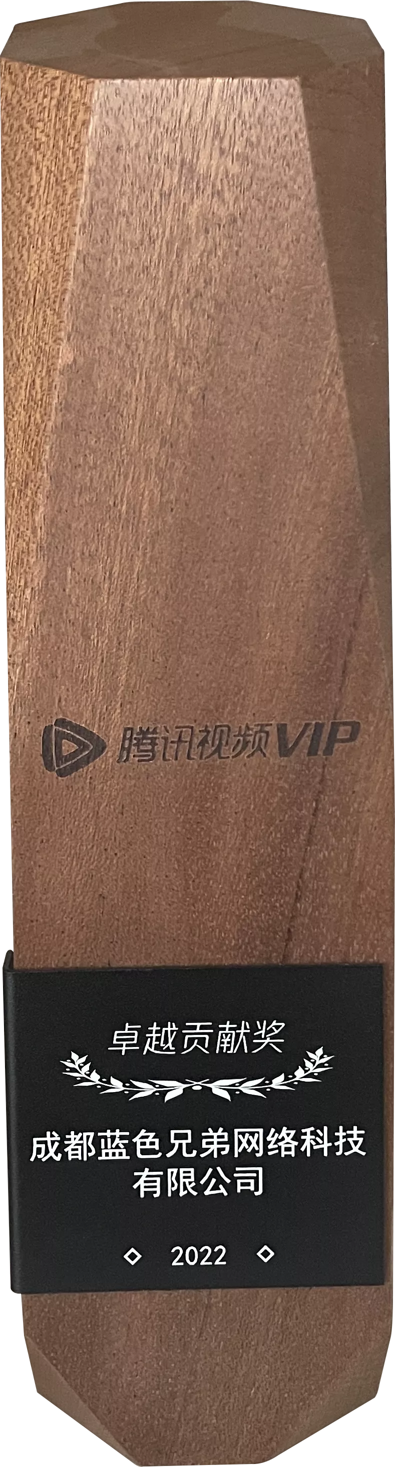 2022年度腾讯视频VIP卓越贡献奖
