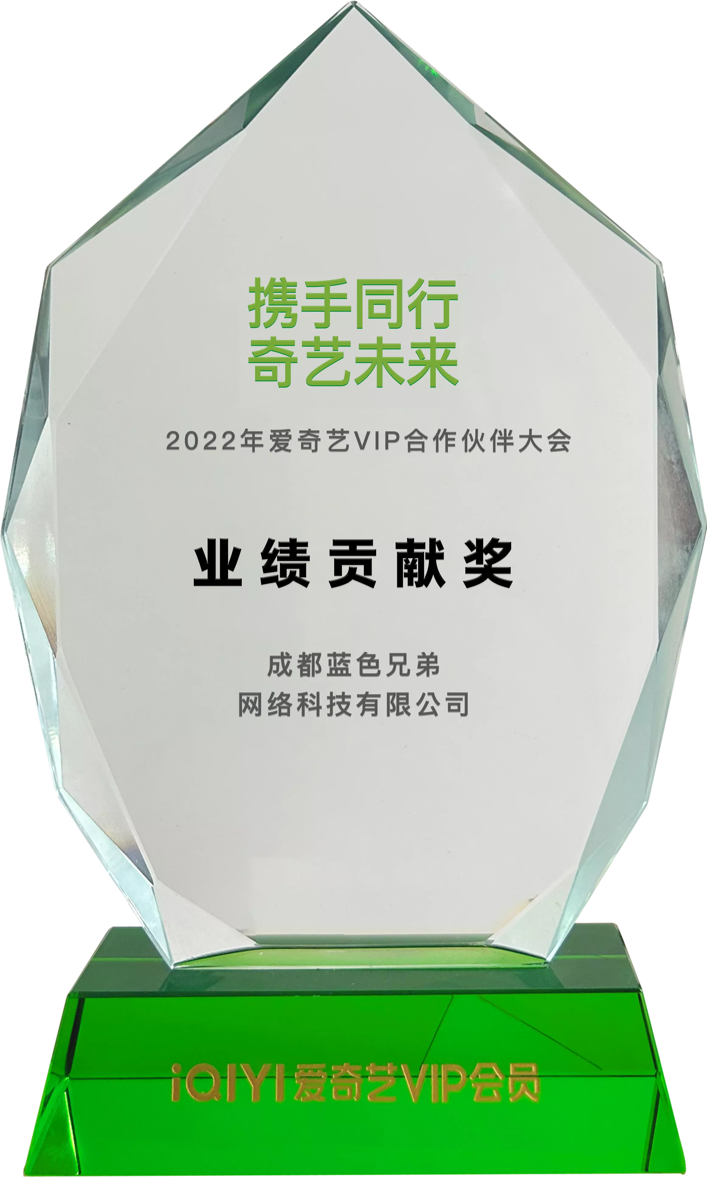 2022年爱奇艺VIP合作伙伴业绩贡献奖